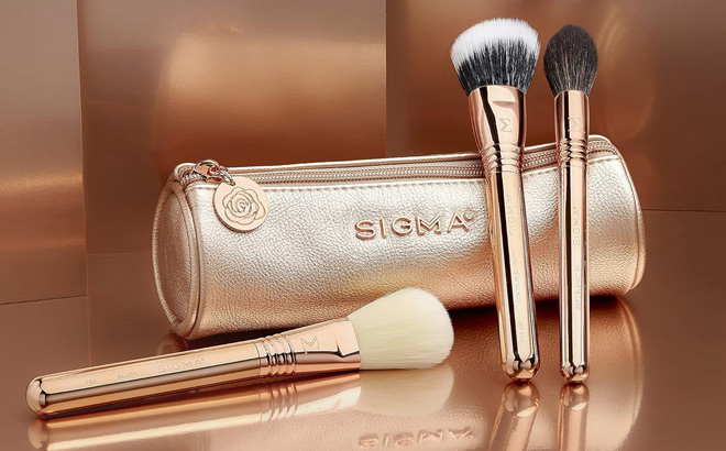 Sigma Bloom Glow Brush Set