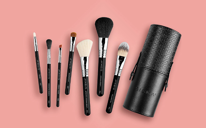 Sigma Essential Travel Brush Set 3