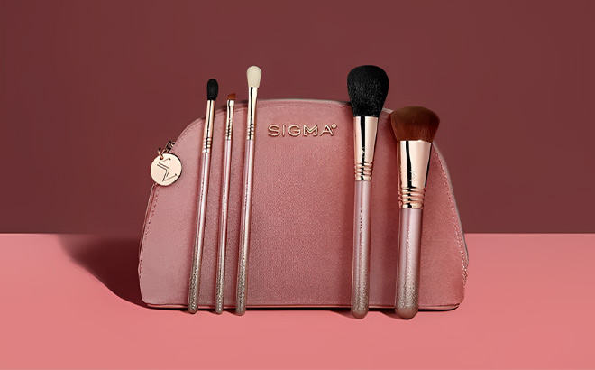 Sigma Modern Glam Brush Set