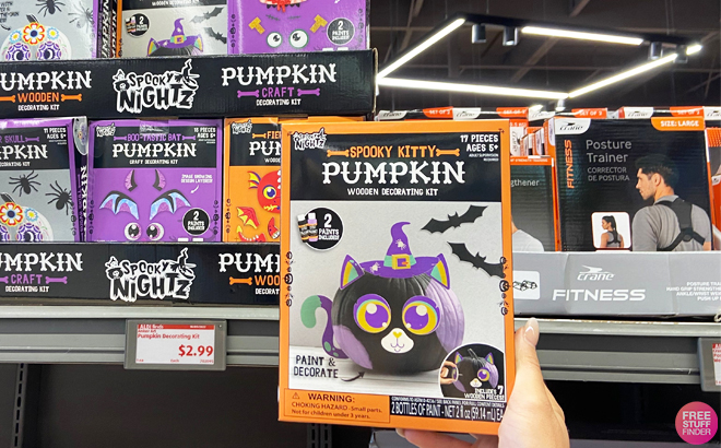 Spooky Kitty Wooden Decorating Kit