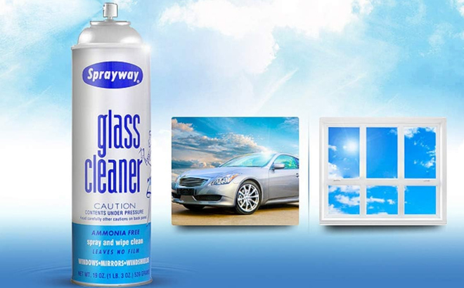 Sprayway Ammonia Free Glass Cleaner
