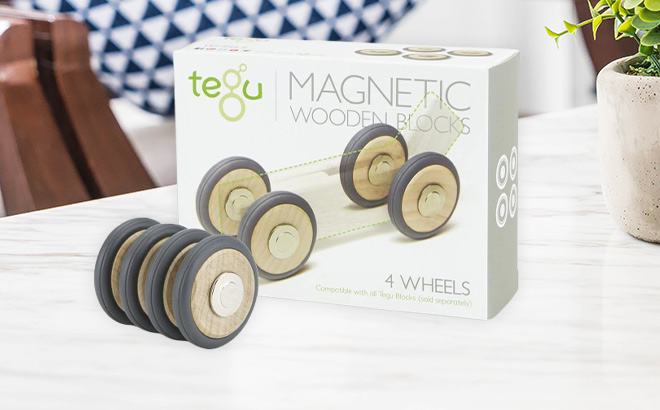 Tegu Magnetic Wooden Blocks on the Table