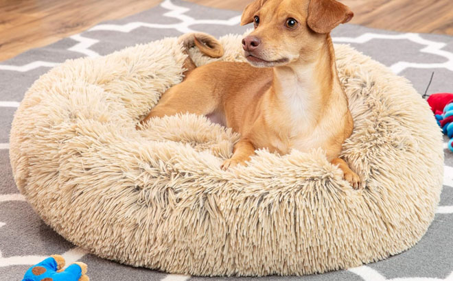 an Image of Best Choice Products 23in Dog Bed