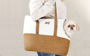 A Person Carrying a Dog Inside of Pet Carrier Bag