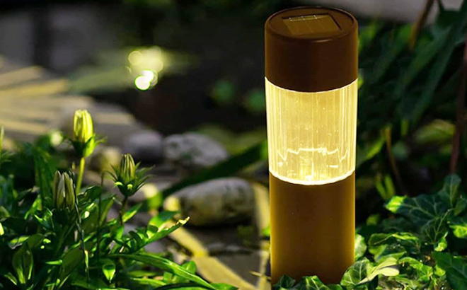Amazon Basics Solar Light in the Grass Amazon Basics Solar Light in the Grass