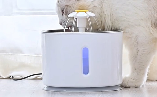 Automatic Water Dispenser for pet