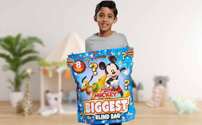 Boy is Holding Mickey Biggest Blind Bag
