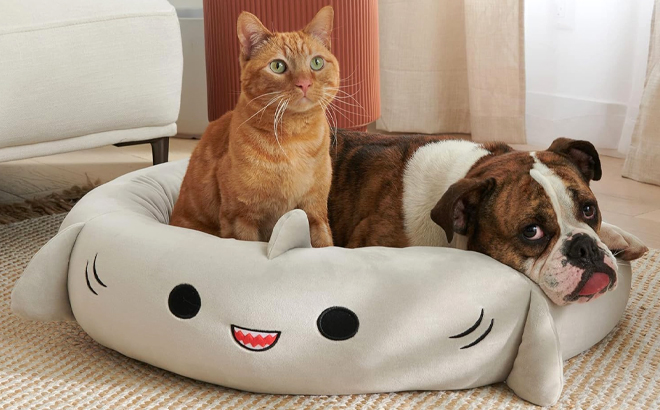 Cat and a Dog Laying in the Squishmallows Gordon The Shark Pet Bed