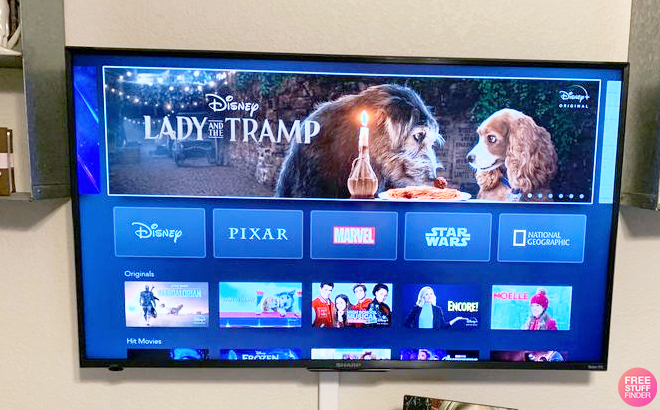 Disney+ on a TV Screen Disney+ on a TV Screen