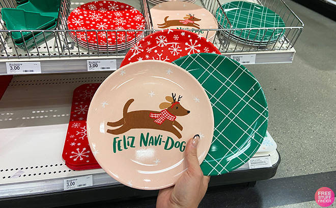 Hand Holding Christmas Melamine Feliz Navi Dog Salad Plate and Christmas Melamine Plaid Salad Green Plate