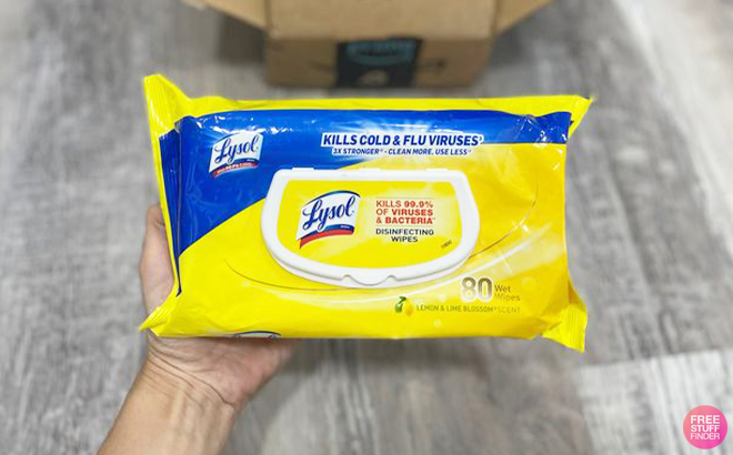 Hand Holding Lysol Disinfectant Handi Pack Wipes Lemon and Lime Blossom 80 Count