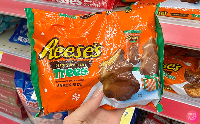 Hand Holding Reese's Milk Chocolate Peanut Butter Snack Size Trees