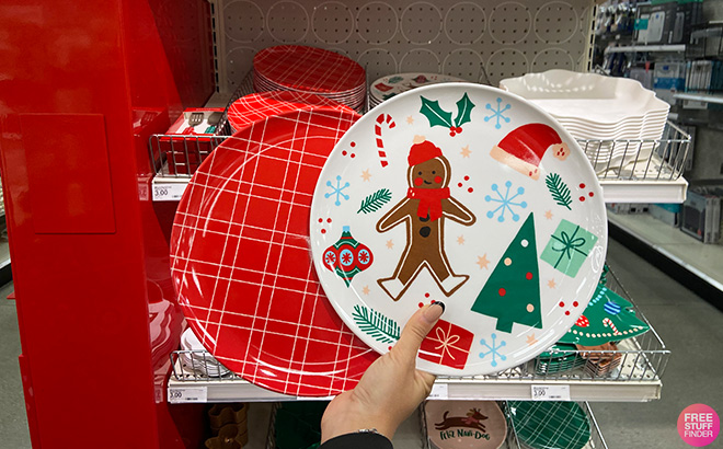 Hand Holding a Christmas Melamine Plaid Dinner Red Plate and Christmas Melamine Gingerbread Dinner Plate