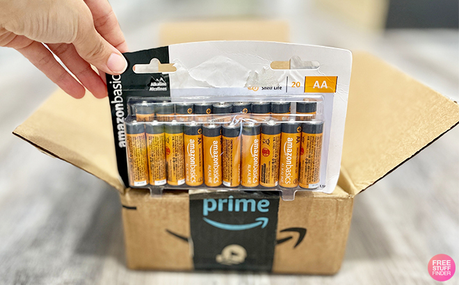 Hand Holding a Pack of Amazon Basics 100 Pack AA Alkaline Batteries