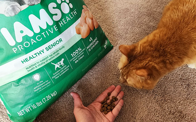 IAMS Healthy Senior Dry Cat Food 16-Pound Bag