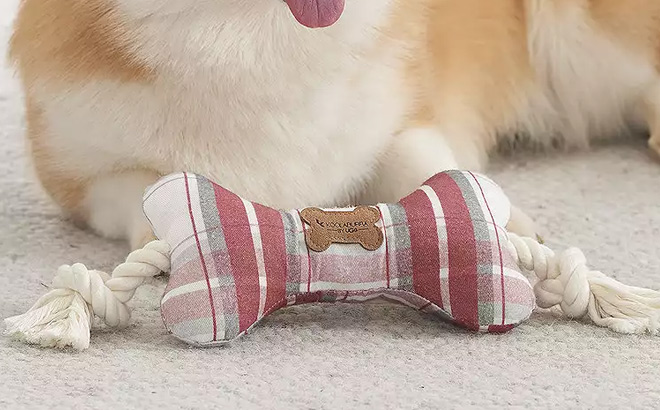 Koolaburra by UGG Alfie Bone Rope Toy