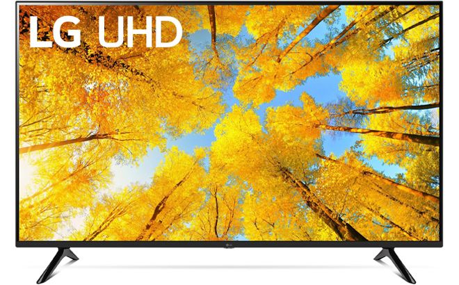 LG 4K UHD Smart TV with Autumn Leaves