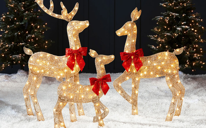 Lighted 2D Christmas Deer Set Outdoor Yard Decoration