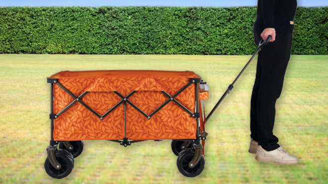 Man Pulling the Bliss Hammocks Collapsible Wagon wih Storage Bag Man Pulling the Bliss Hammocks Collapsible Wagon wih Storage Bag