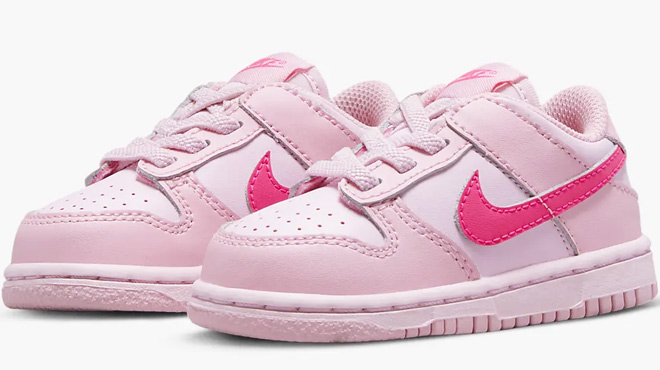 Nike Dunk Baby Toddler Shoes