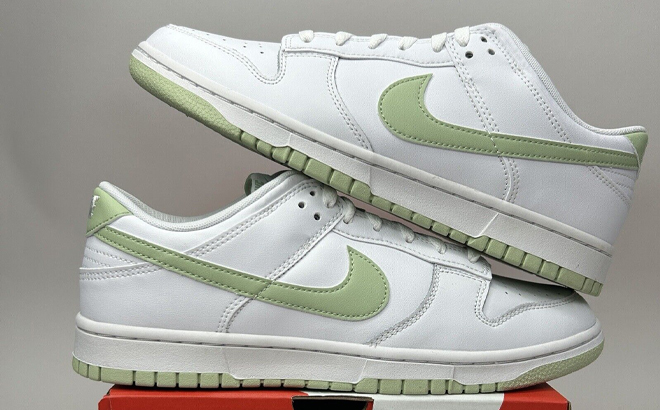 Nike Dunk Low Retro Mens Shoes