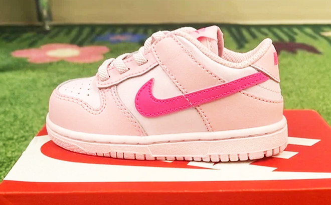 Nike Dunk Toddler Shoes