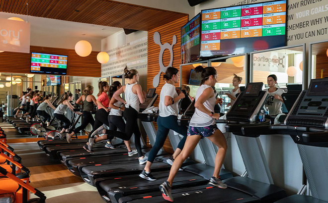 People Working Out on Treadmills