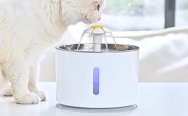Pet Automatic Water Dispenser