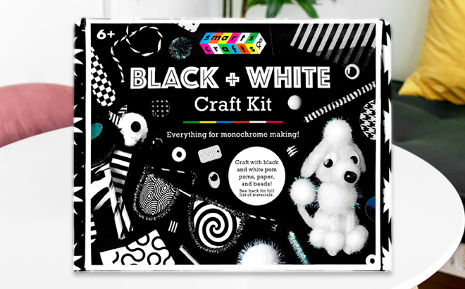 Smarts and Crafts Make Your Own 233 Piece Black and White Craft Kit