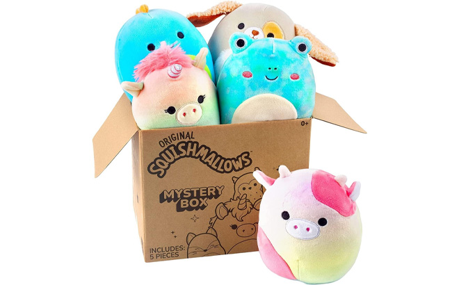 Squishmallows Mystery Box with 5 Pieces