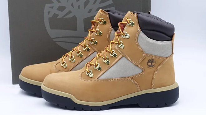 Timberland Mens 6 Inch Waterproof Field Boot