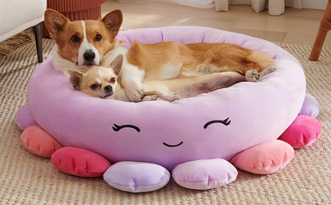 Two Dogs Laying in the Squishmallows Beula The Octopus Pet Bed