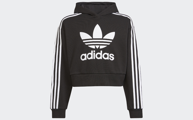 an Image of Adidas Adicolor Cropped Hoodie