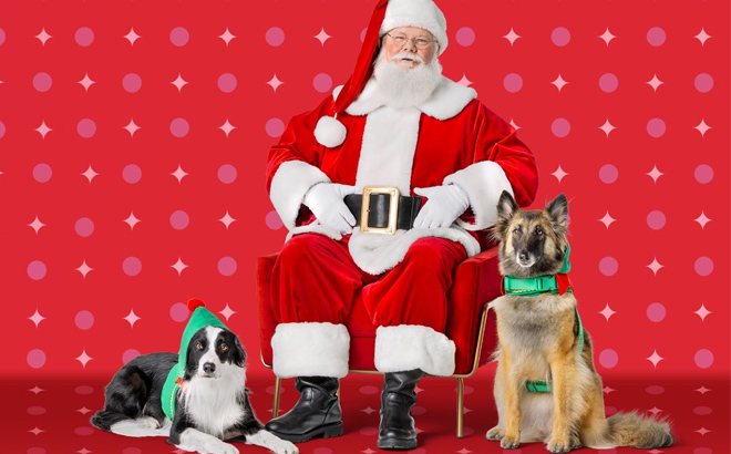 an Image of a Person Dressed as Santa Claus and Two Dogs