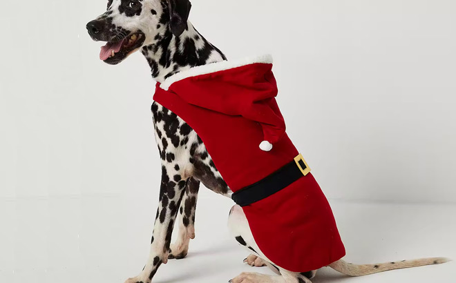 A Dalmation Wearing a North Pole Trading Co Santas Helpers Dog Pajama