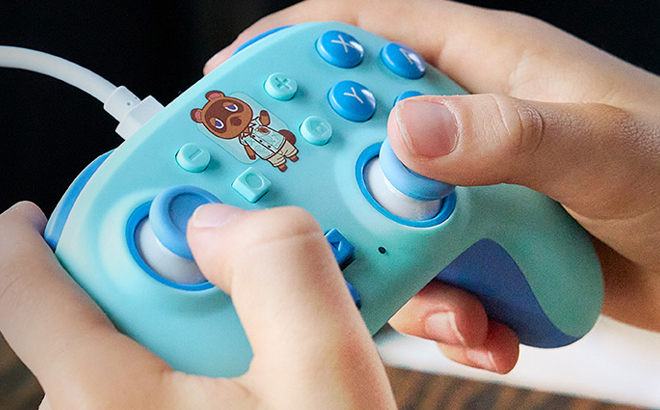 A Person Holding the Nintendo Switch Controller