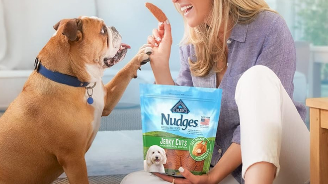 Blue Buffalo Nudges Grillers Natural Dog Treats