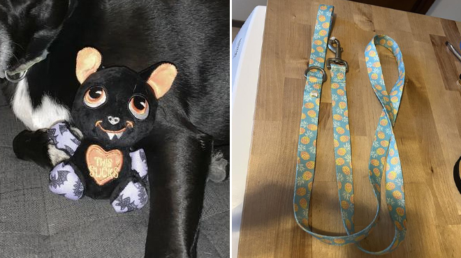 Bootique Plush Sitting Bat Small Dog Toy and a YOULY Pineapple Dog Leash