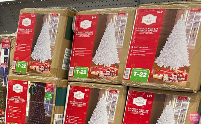 Boxes of Holiday Time White Jackson Christmas Trees on Shelf at Walmart