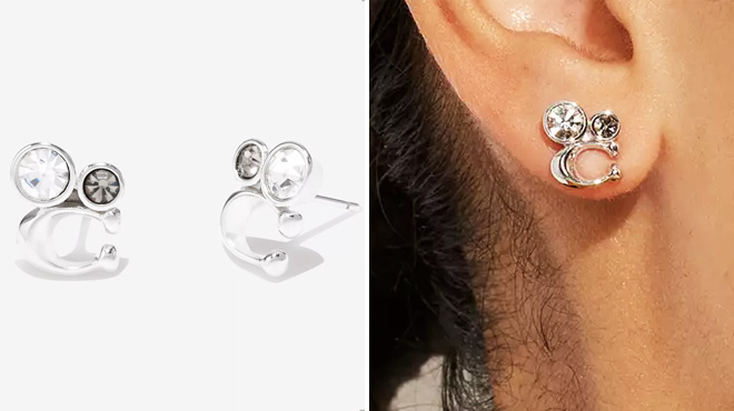 Coach Outlet Crystal Cluster Stud Earrings