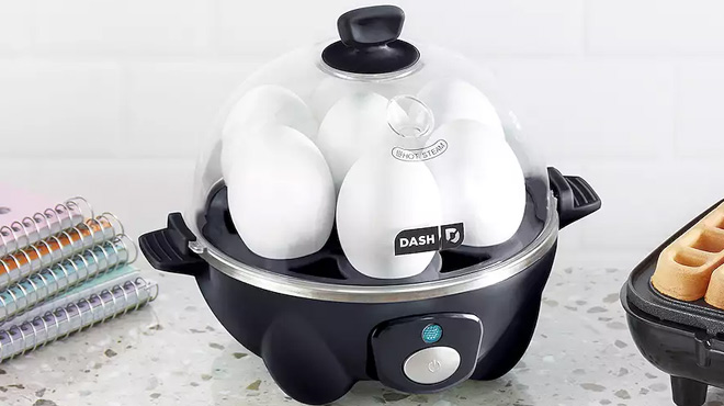 Dash Rapid Egg Cooker on a Kitchen Counter Dash Rapid Egg Cooker on a Kitchen Counter