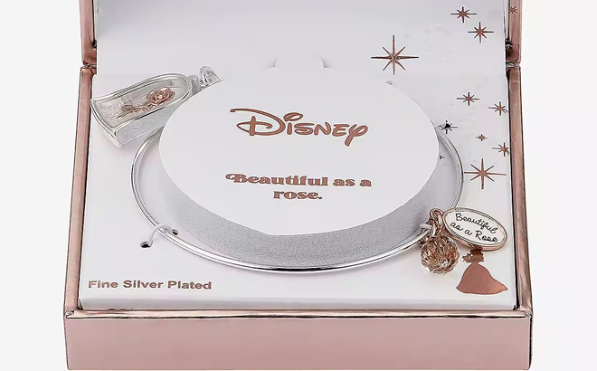 Disney Classics Pure Silver Over Brass