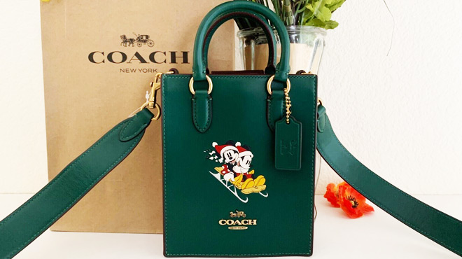 Disney X Coach North South Mini Tote With Sled Motif