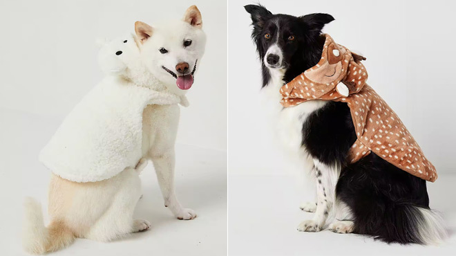 Dogs wearing North Pole Trading Co Reindeer Family Dog Pajama and North Pole Trading Co Polar Bear Chill Dog Pajama Dogs wearing North Pole Trading Co Reindeer Family Dog Pajama and North Pole Trading Co Polar Bear Chill Dog Pajama