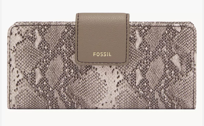 Fossil Snake Color Wallet Fossil Snake Color Wallet