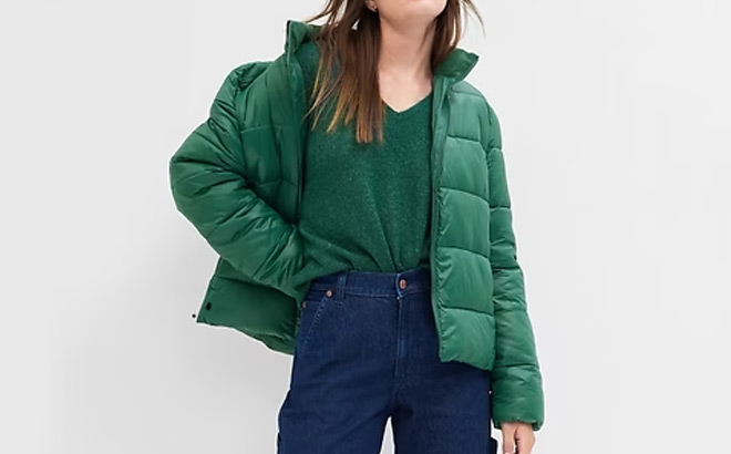 GAP ColdControl Puffer Jacket