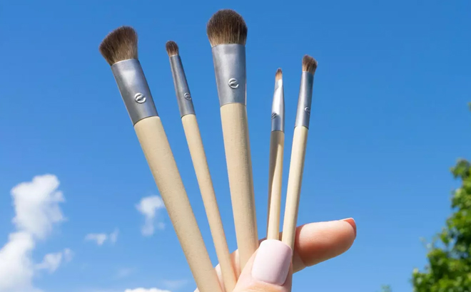 Hand Holding EcoTools Daily Defined Eye Makeup Brush Kit