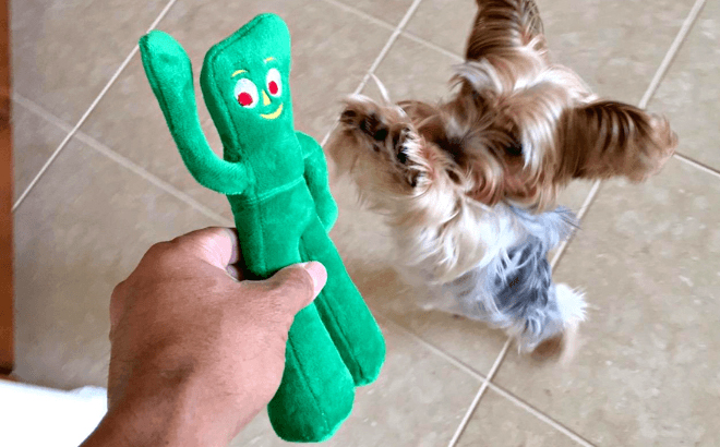Hand Holding Multipet Gumby Plush Filled Dog Toy