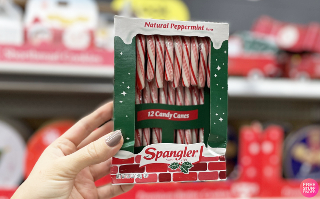 Hand Holding Spangler Candy Canes 12 Pack