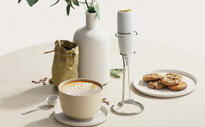 Handheld Milk Frother